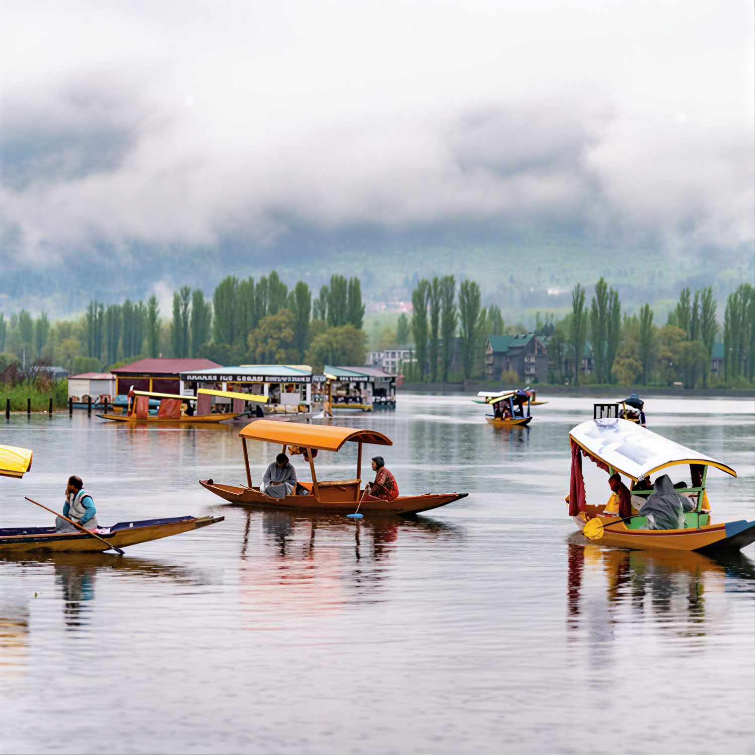 Meadows of Gold: Srinagar a Sonmarg Escursione Alpina