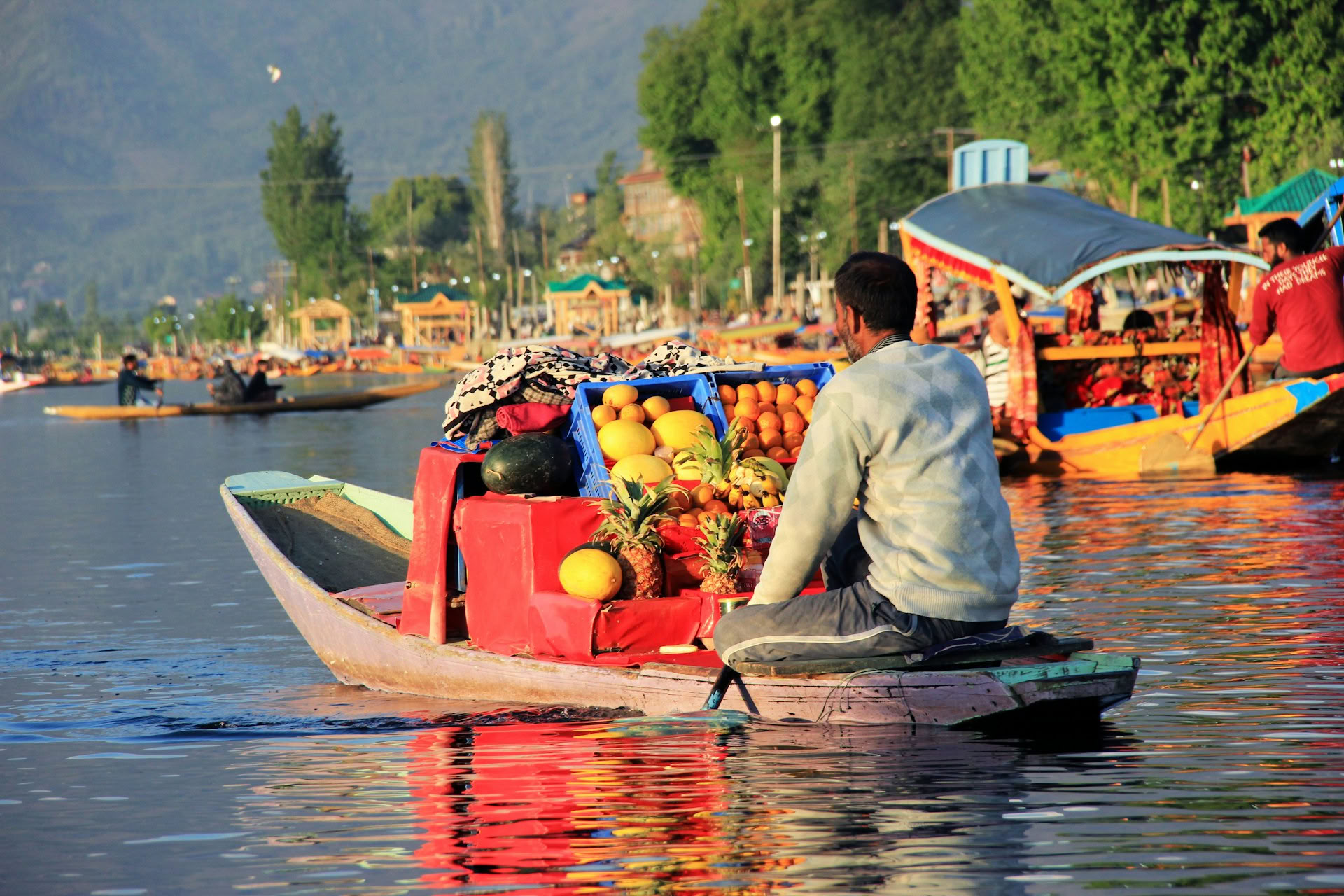 Meadows of Gold: Srinagar a Sonmarg Escursione Alpina