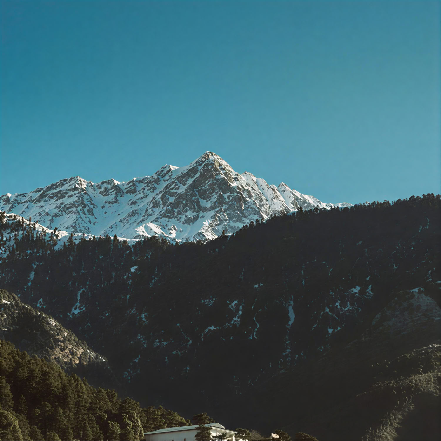 Sacri colli verso orizzonti dorati: itinerario Dharamshala, Dalhousie e Amritsar