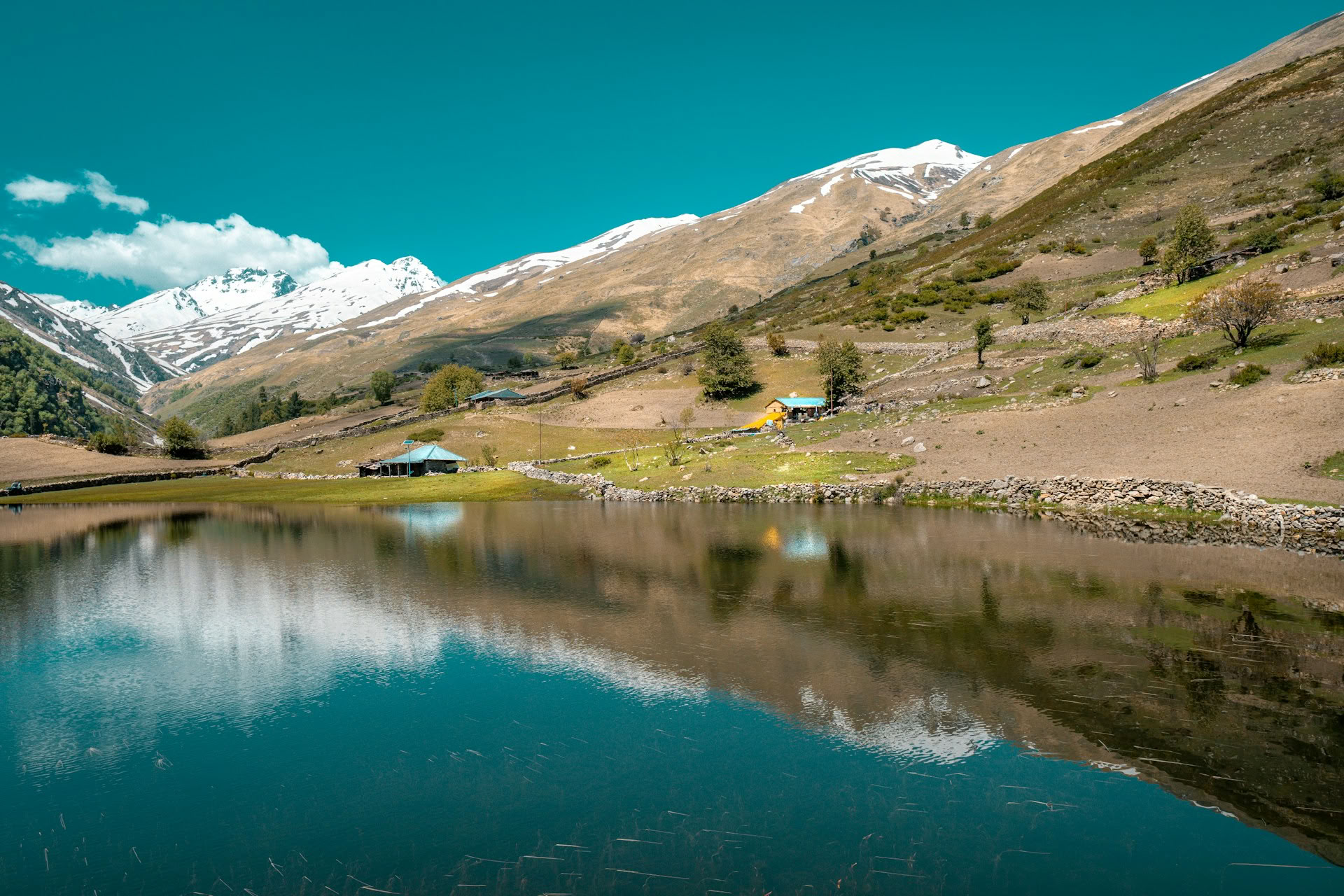 Da frutteti a valli alpine: viaggio himalayano di Thanedar e Sangla