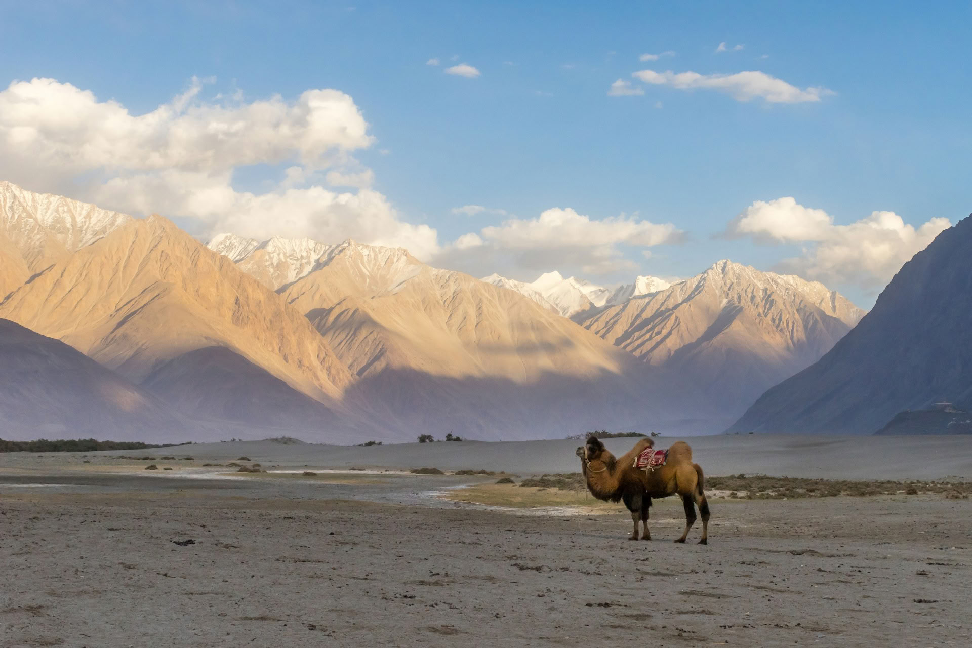 Ladakh – Ladakh esotico con Turtuk