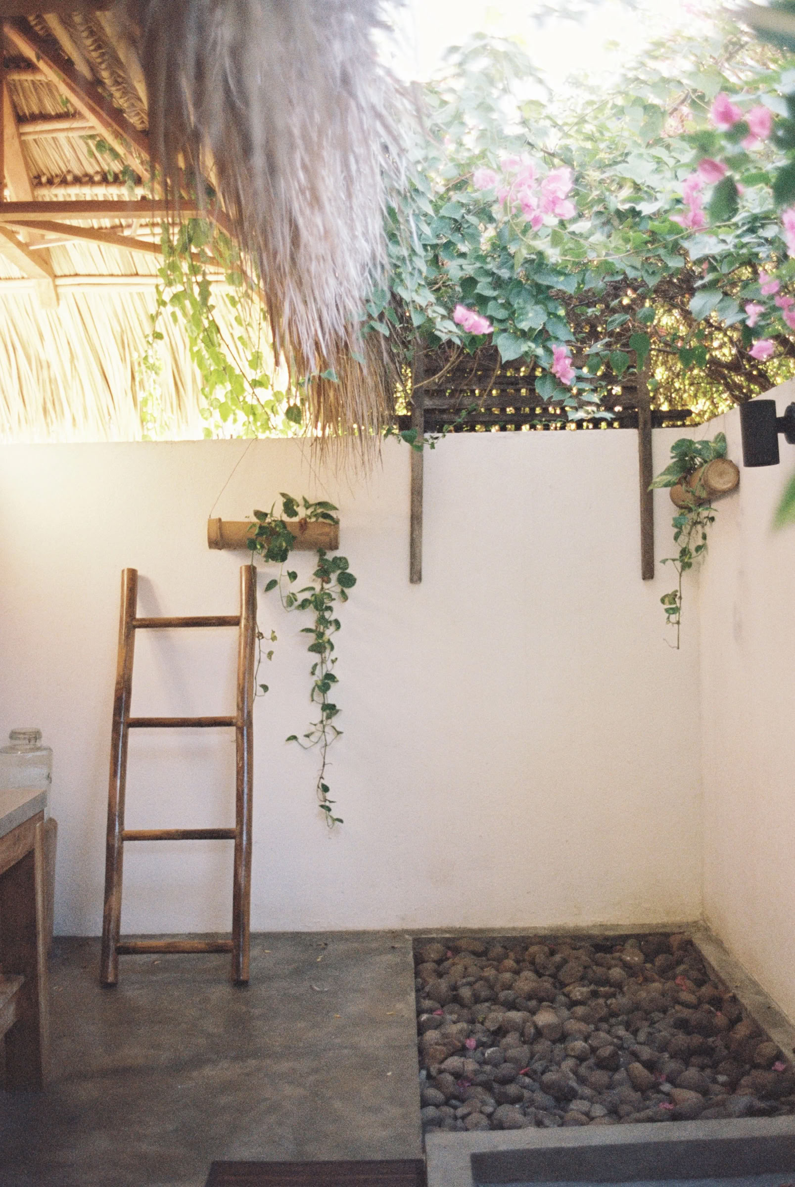 Ritiro di Yoga in Nicaragua Selvaggia
