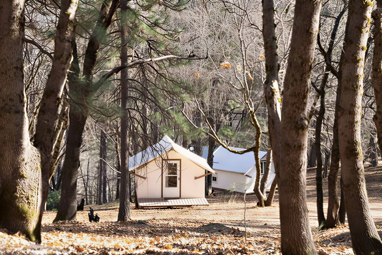 Seclusione Guidata Kriya