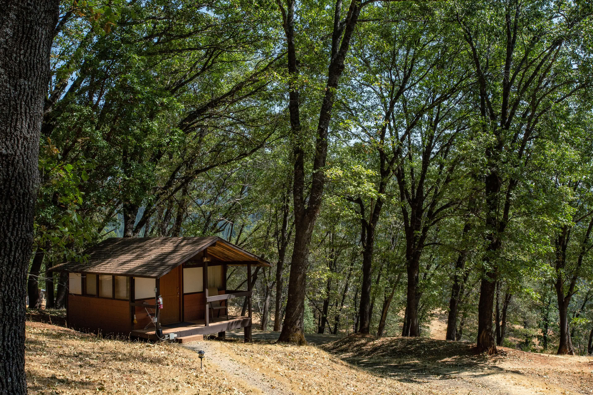 Family Yoga Camp Ritiro