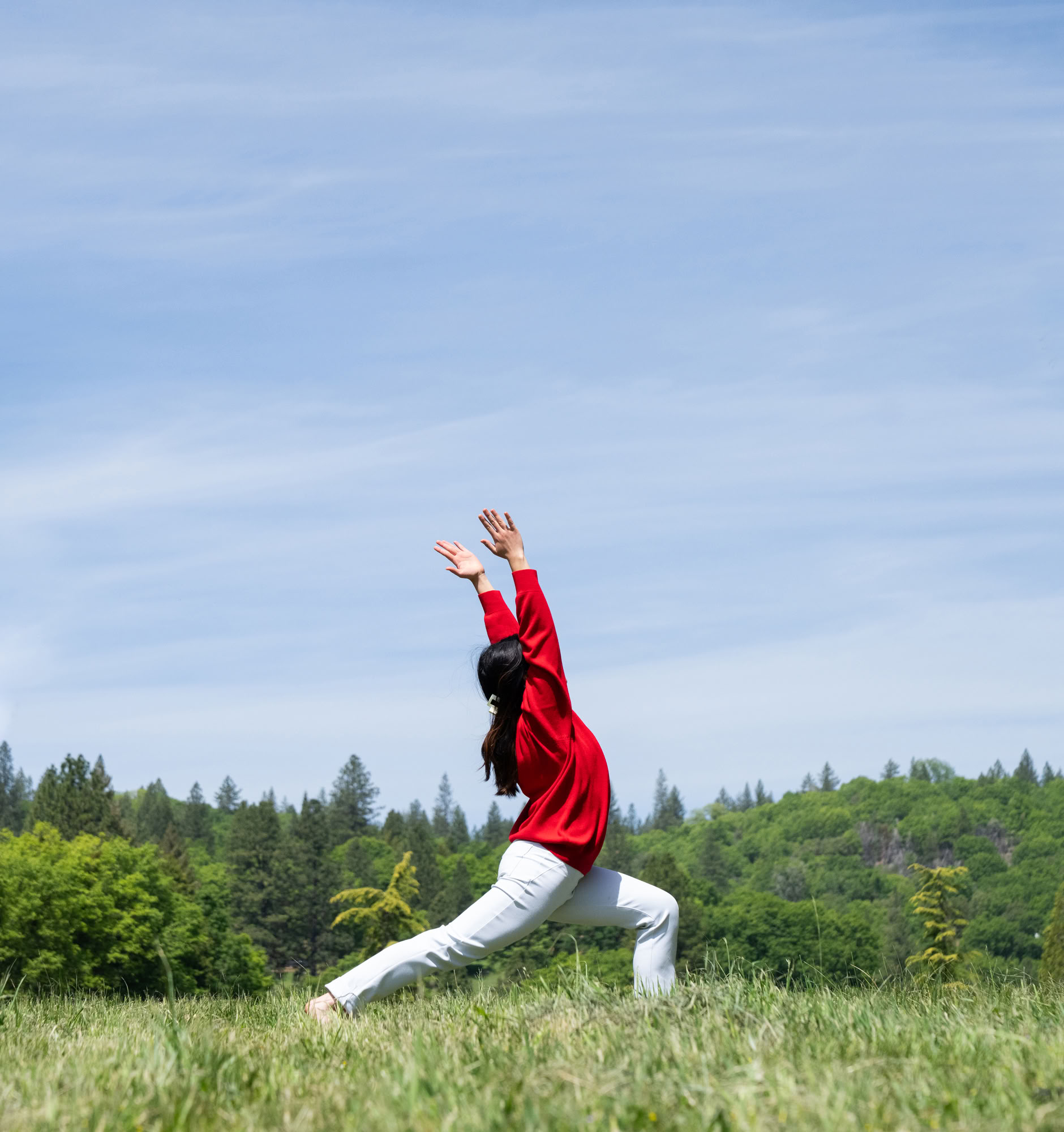 Fondamenti di Ananda Yoga
