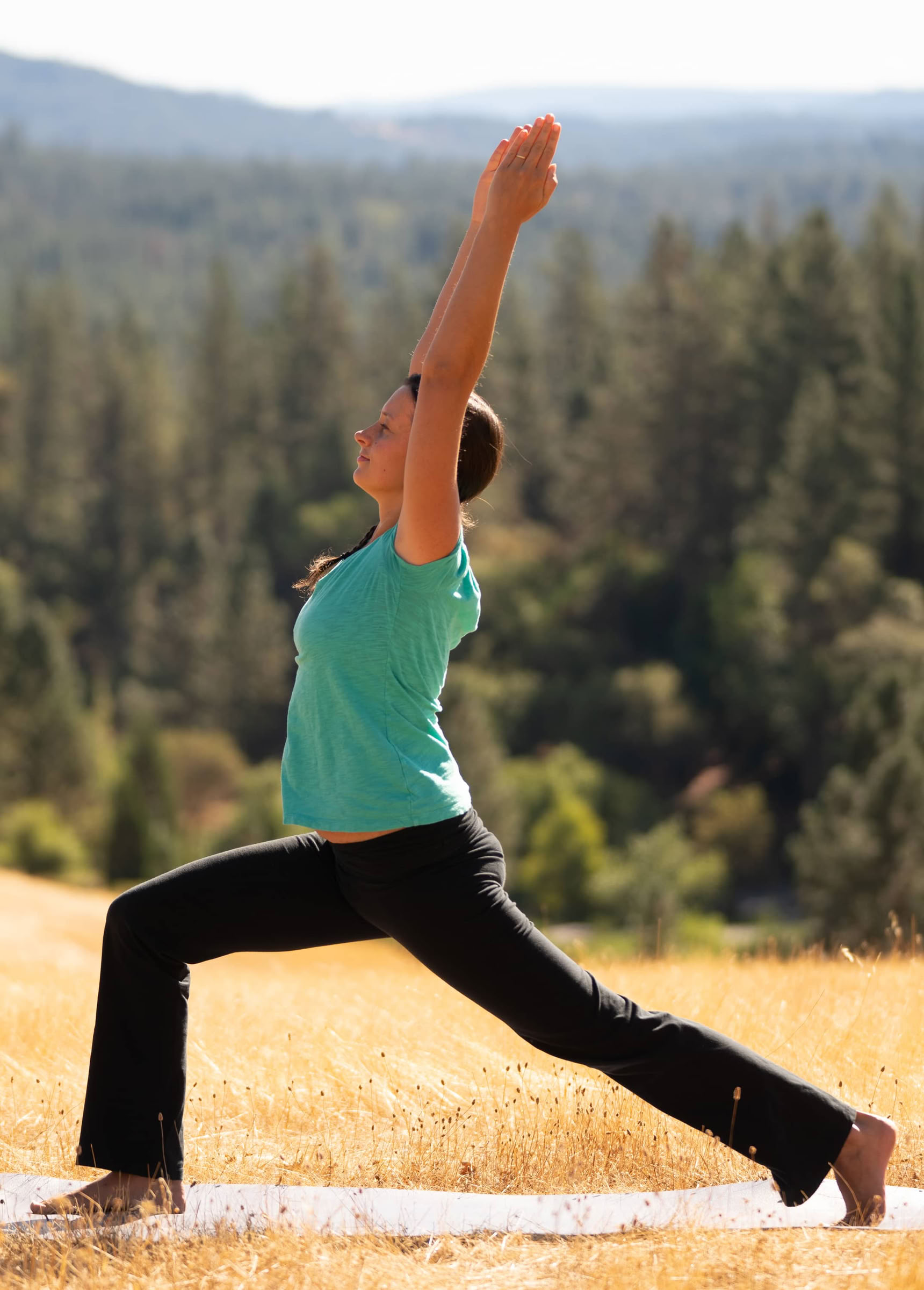 Bridge to Ananda Yoga