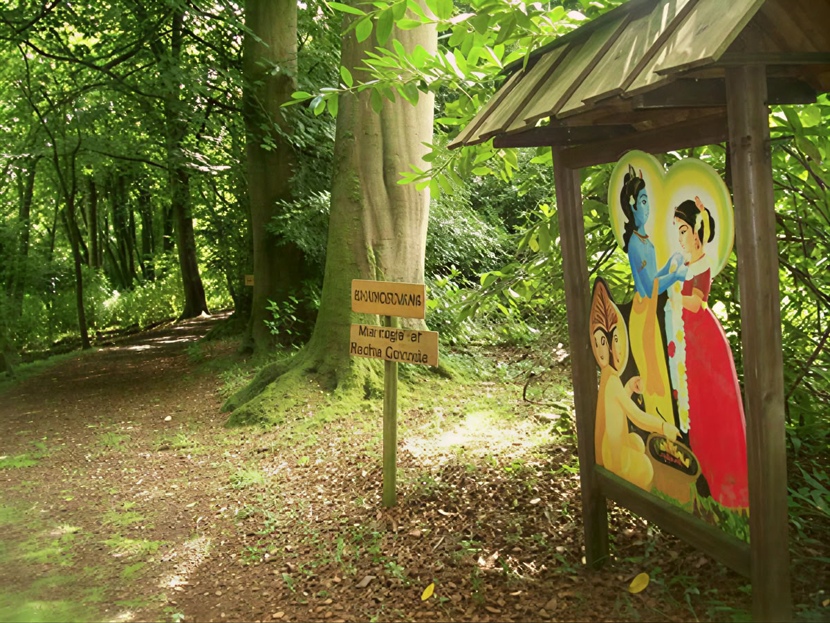 Yoga e camminata dal 12 al 14 giugno