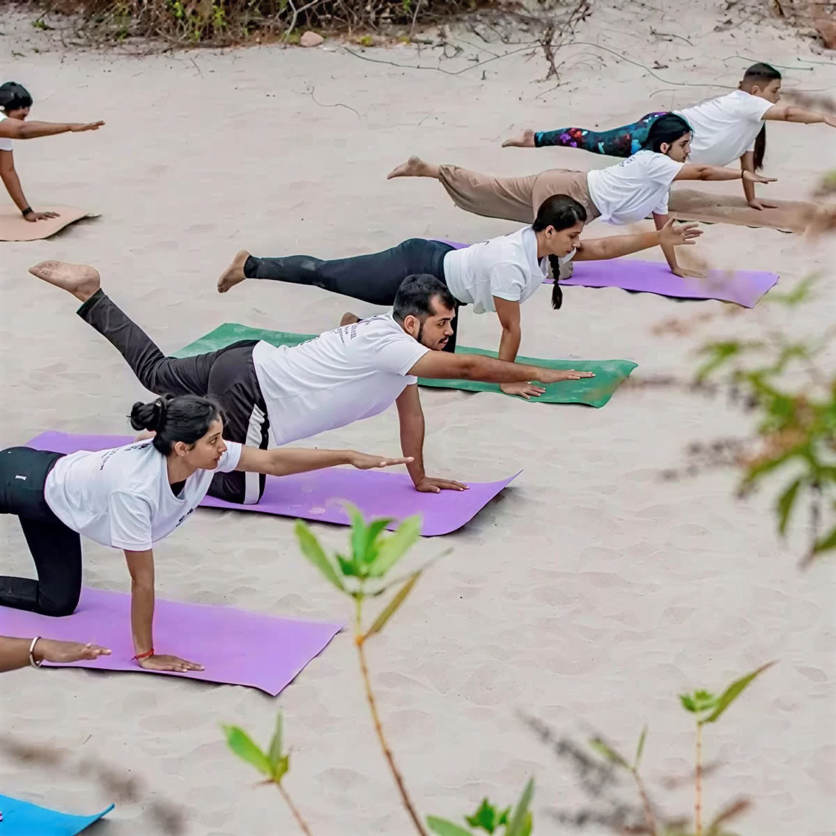 Programma di formazione per insegnanti di yoga di 300 ore