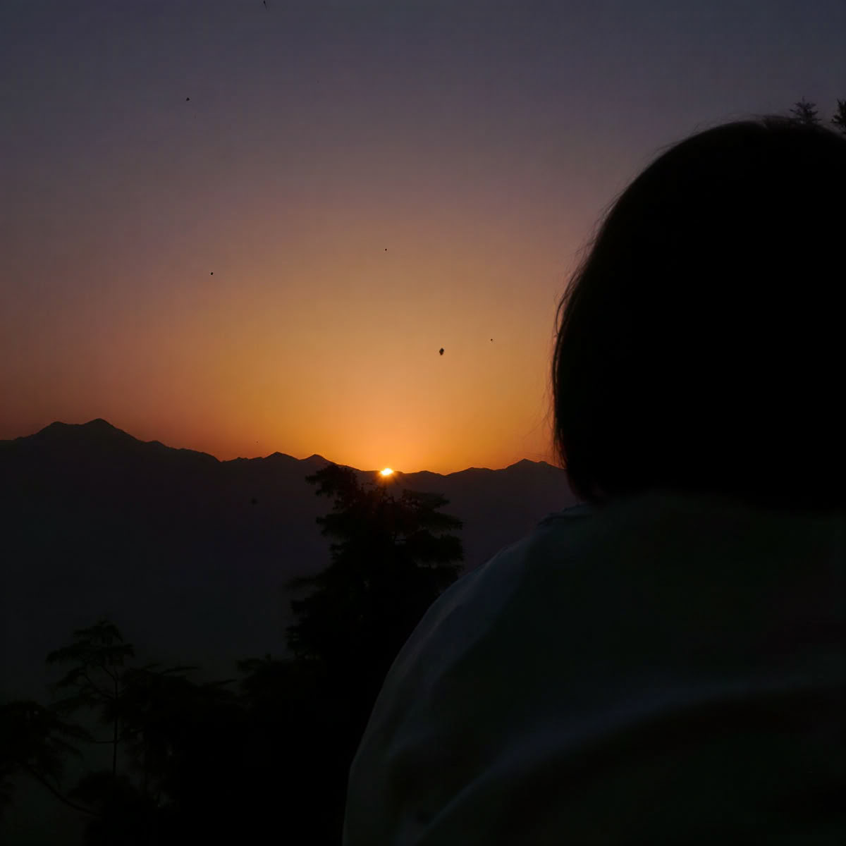 100 Ore di Formazione Insegnanti di Yoga a Rishikesh