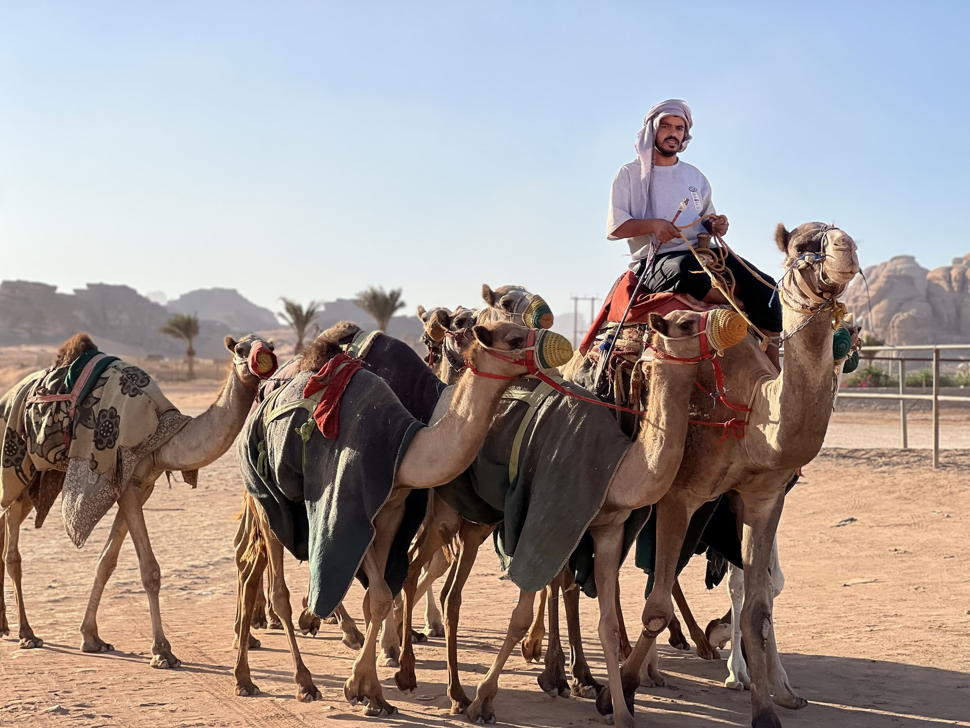 4 Giorni di Avventura in Trekking in Cammello con i Beduini nel Wadi Rum, Giordania