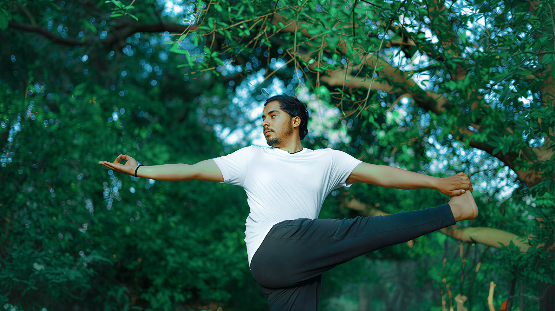 100 Ore Traditional Yoga TTC