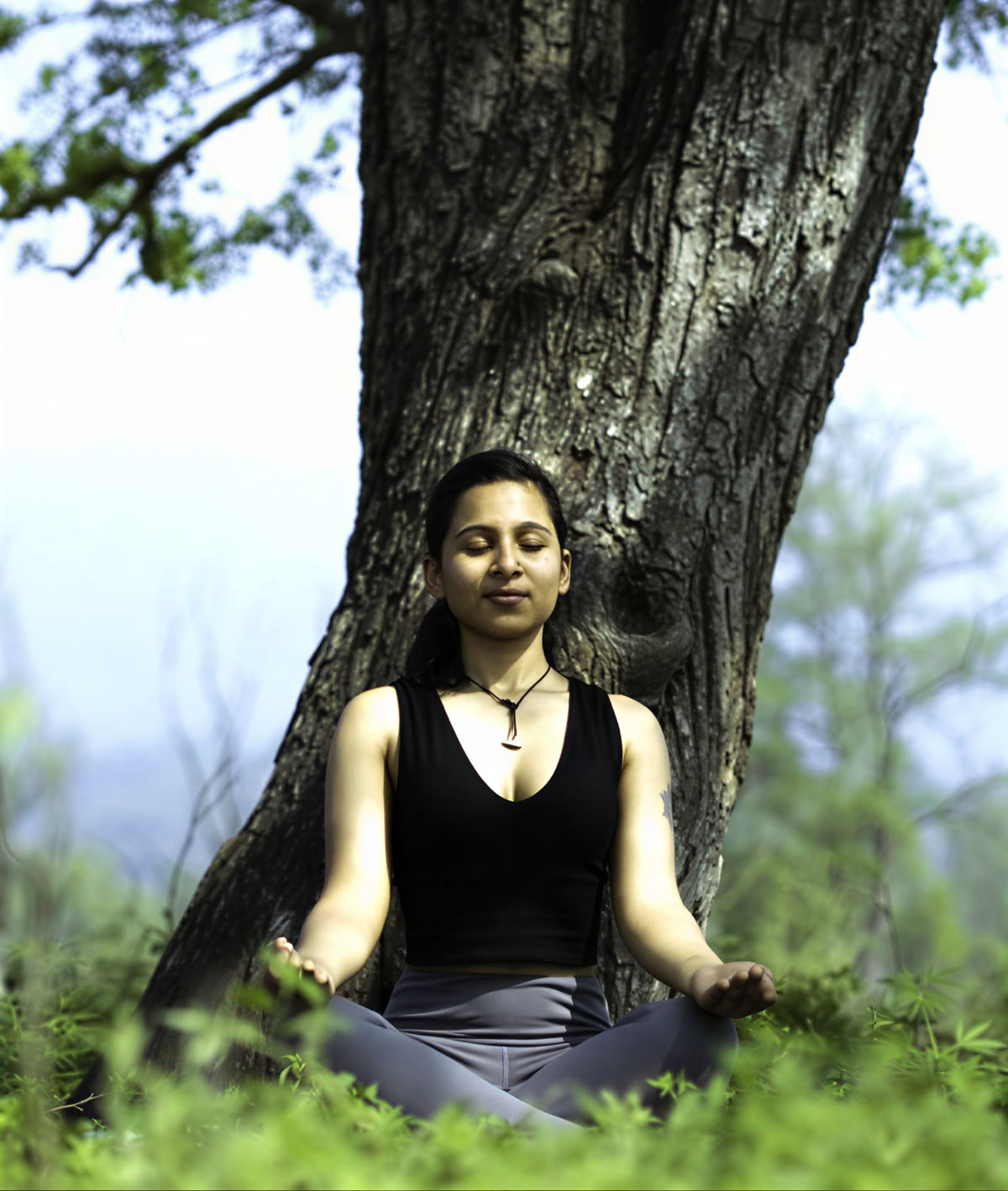 300 Ore Traditional Yoga TTC