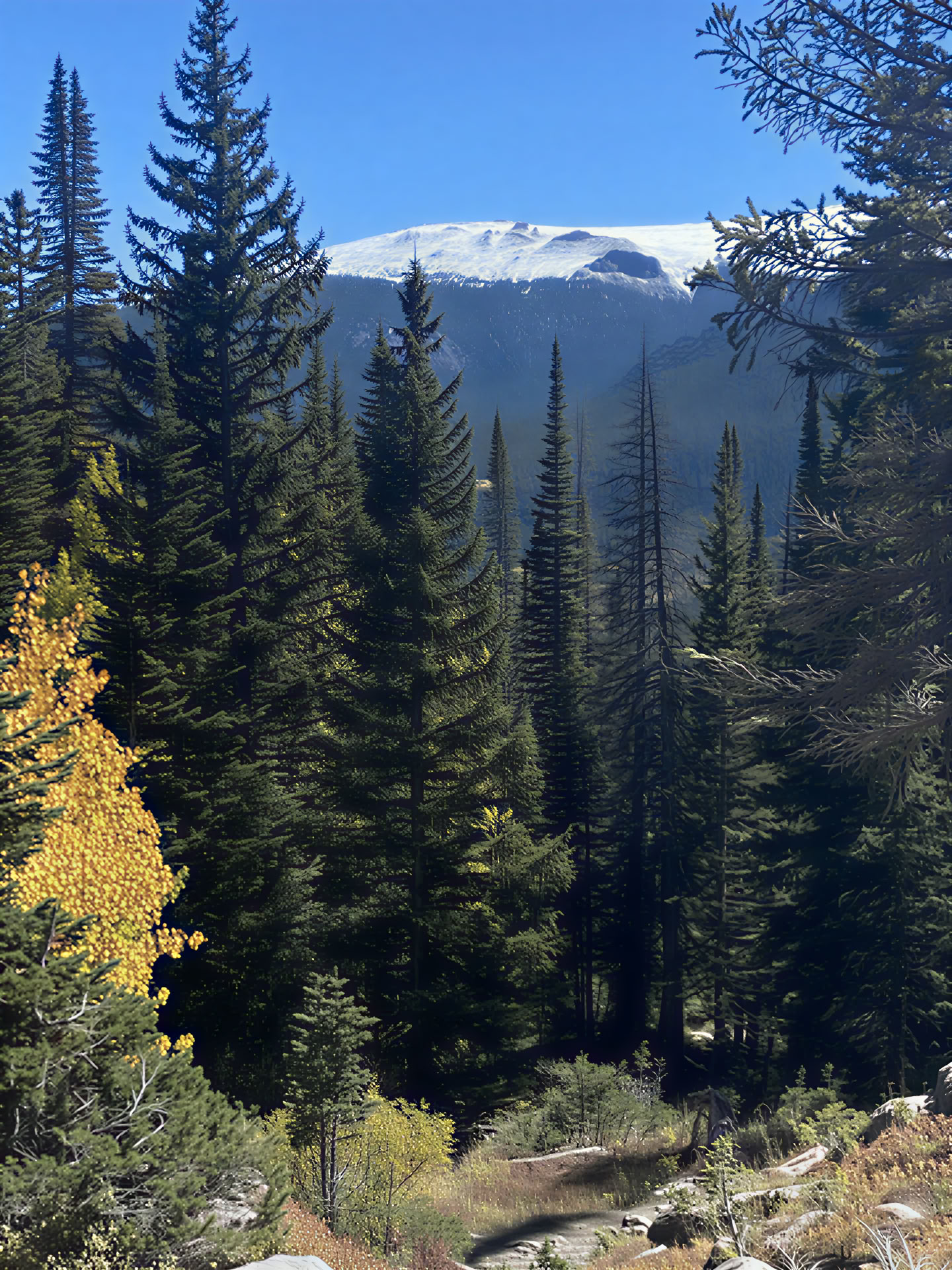 Rocky Mountain Ritiro - 5 Giorni
