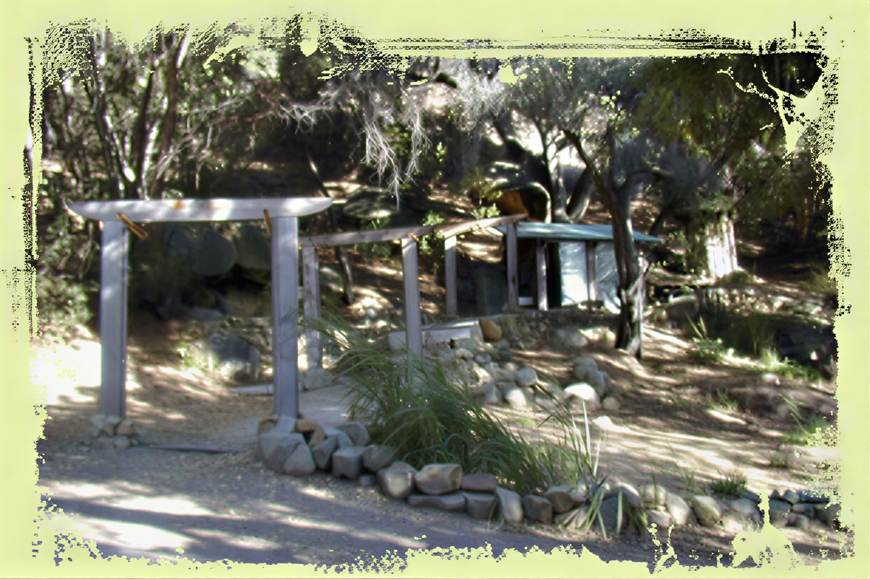 Ritiro Yoga del Labor Day