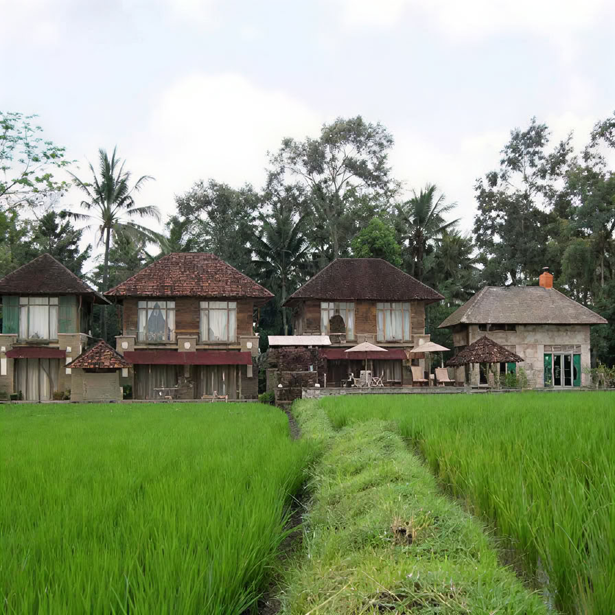 Unforgettable 7-Day Yoga Ritiro in Firefly Retreat Bali