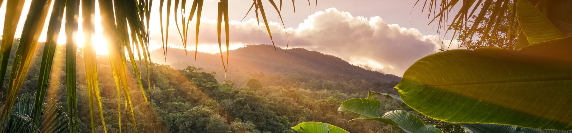 Tour giornaliero del Parco Nazionale Manuel Antonio