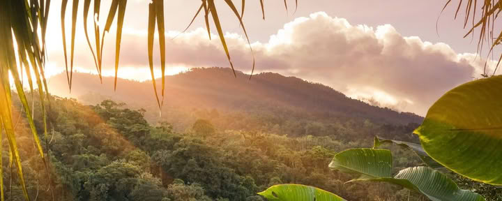 Tour Corcovado di 1 giorno