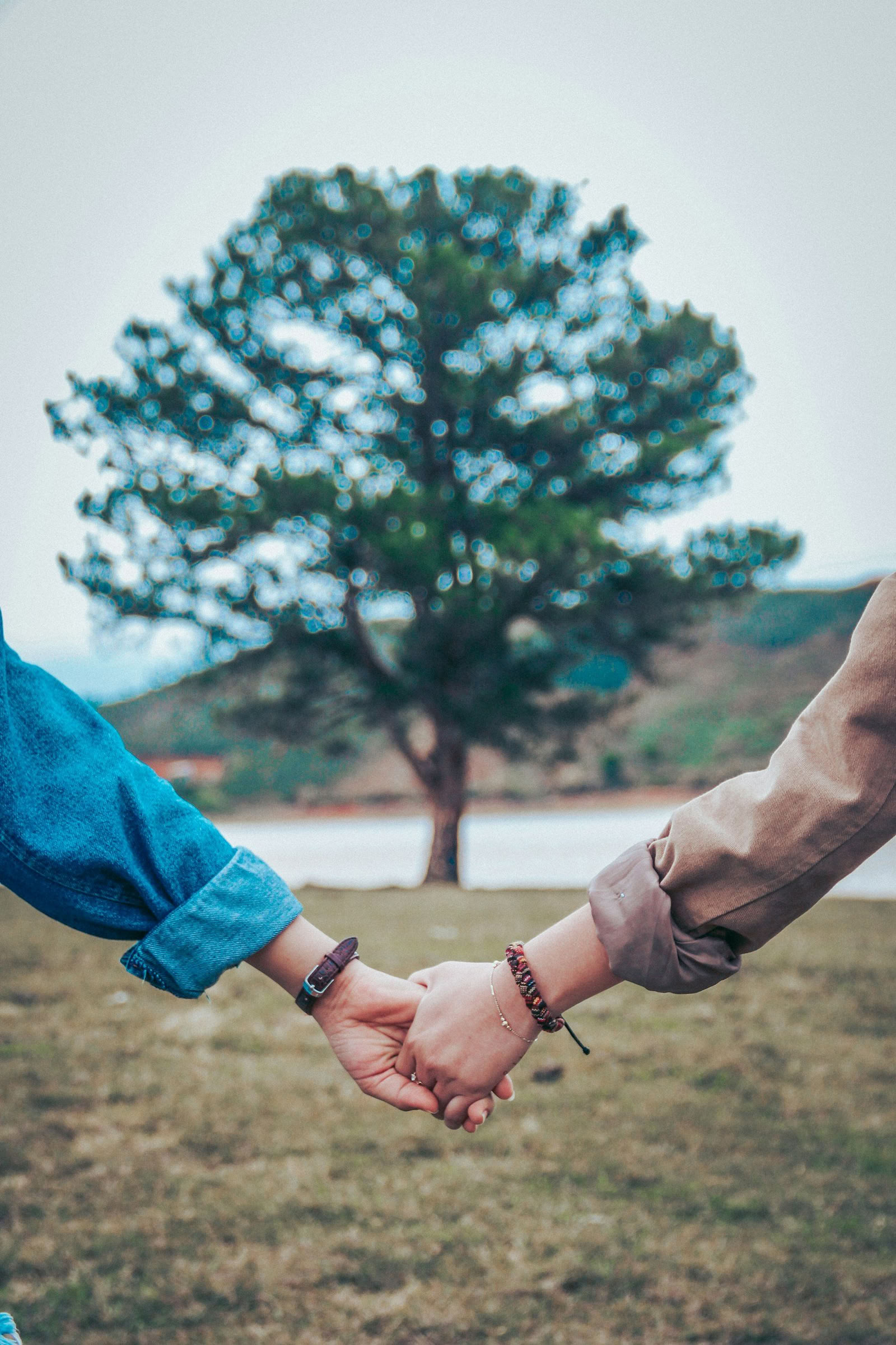 Matrimonio Riacceso