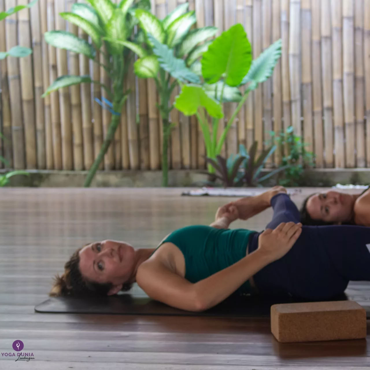 Week End Workshop: Yoga Aerea