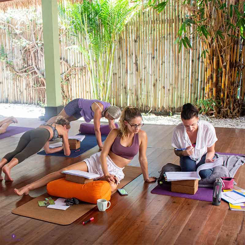 110h Formazione Insegnanti di Anatomia e Vinyasa Yoga