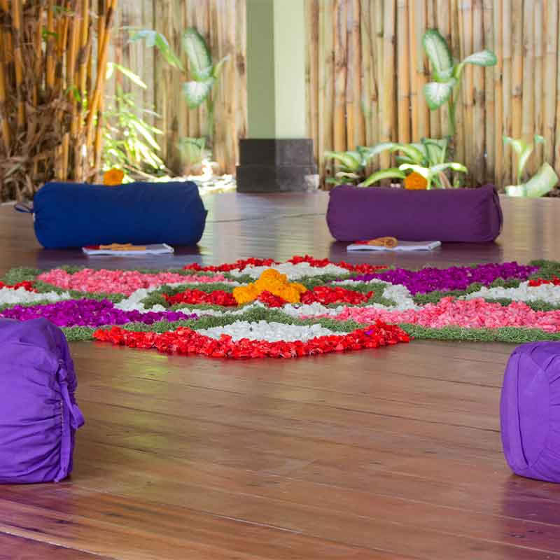 110h Formazione Insegnanti di Anatomia e Vinyasa Yoga