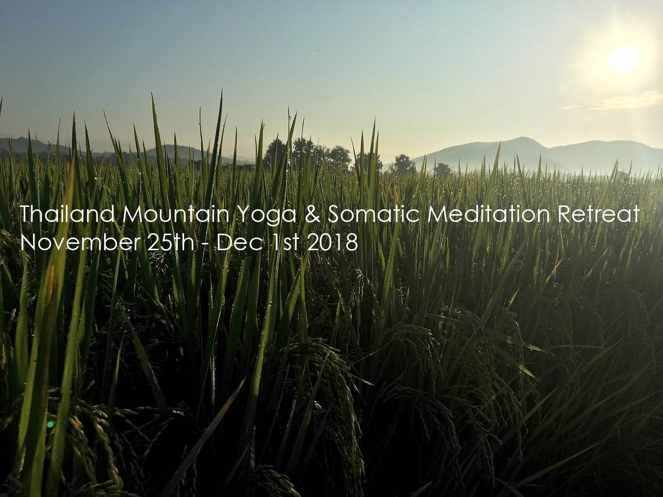 Somatic Meditation Yoga Ritiro Chiang Mai, Thailand