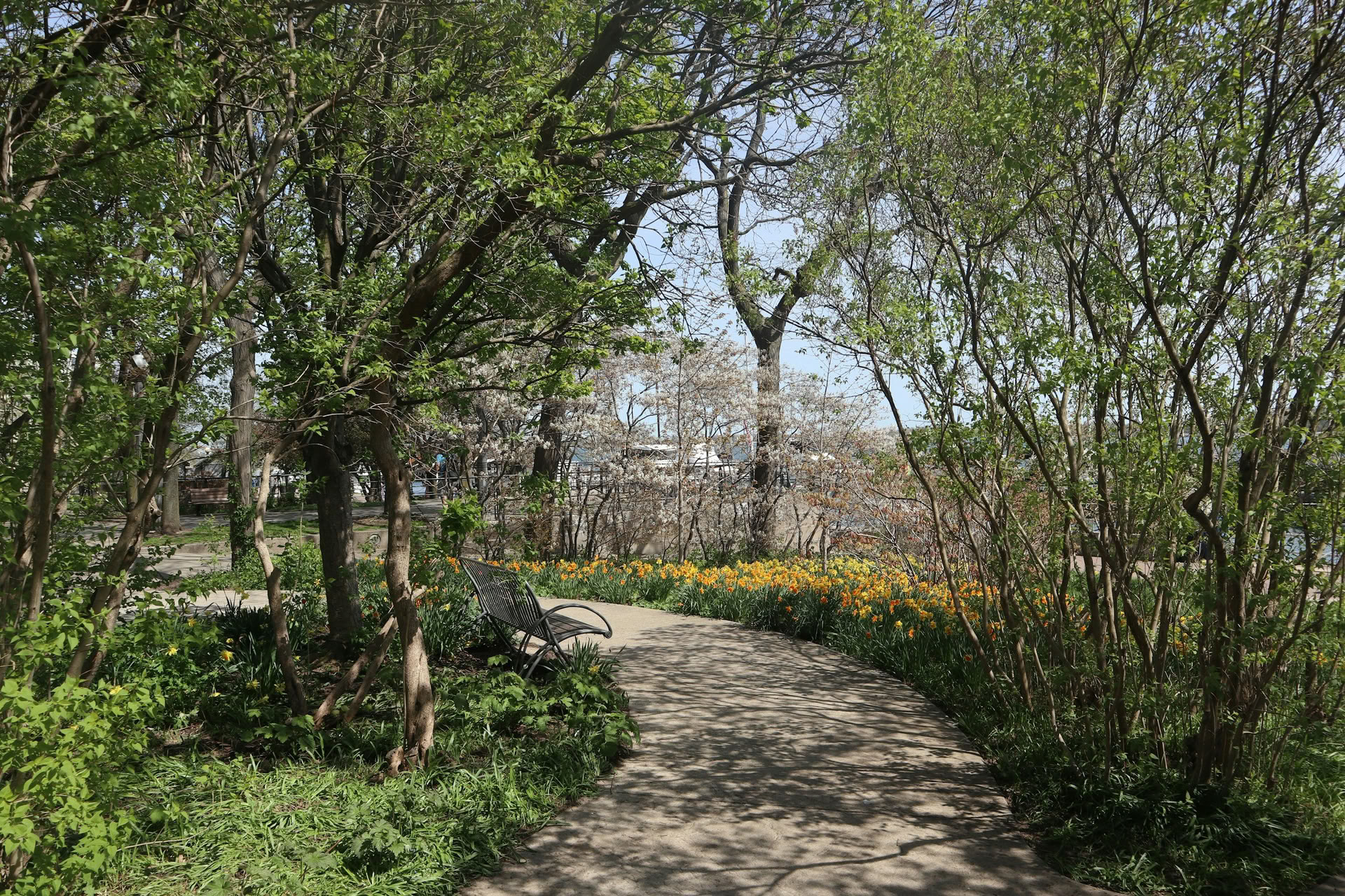 ForREST Ritiro: Emerge In Bloom