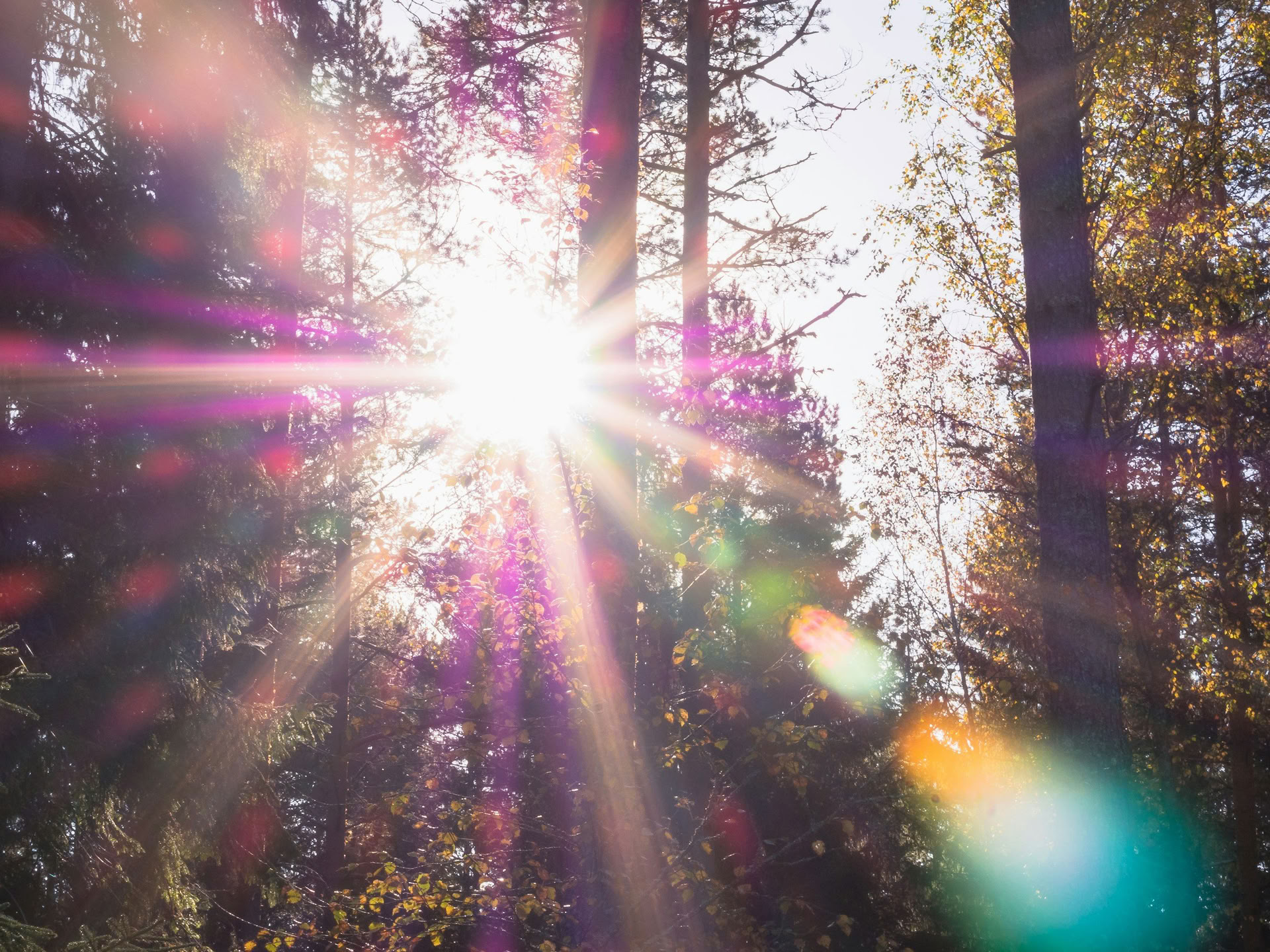 Sistertalk Retreats - LATE SUMMER GLOW: Ritiro degli Elementi Minerale/Natura — Wild Nature Retreats