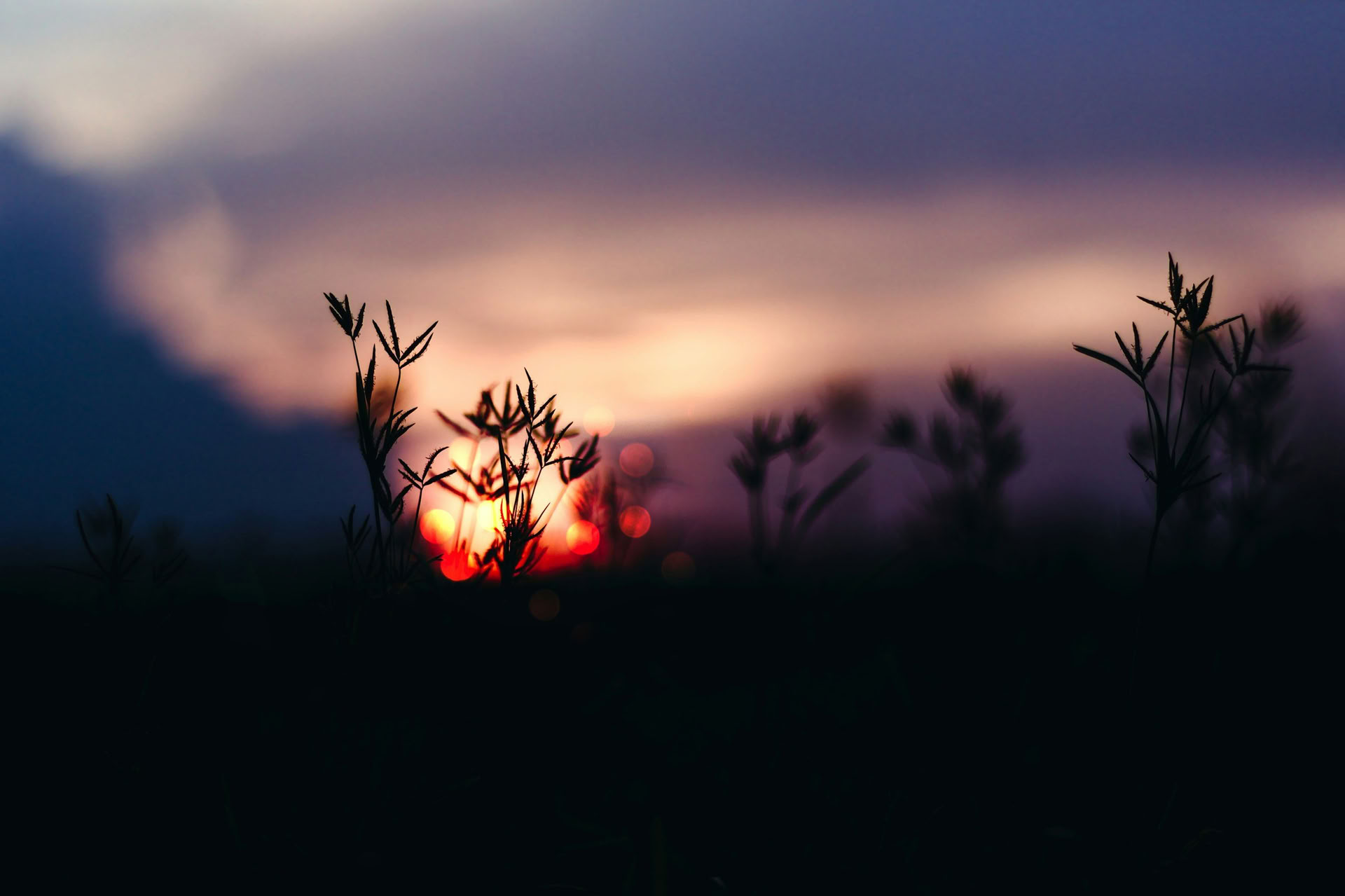 Solstice Retreat Series: Celebrazione dell'equinozio d'autunno con Erin Moe — Wild Nature Retreats