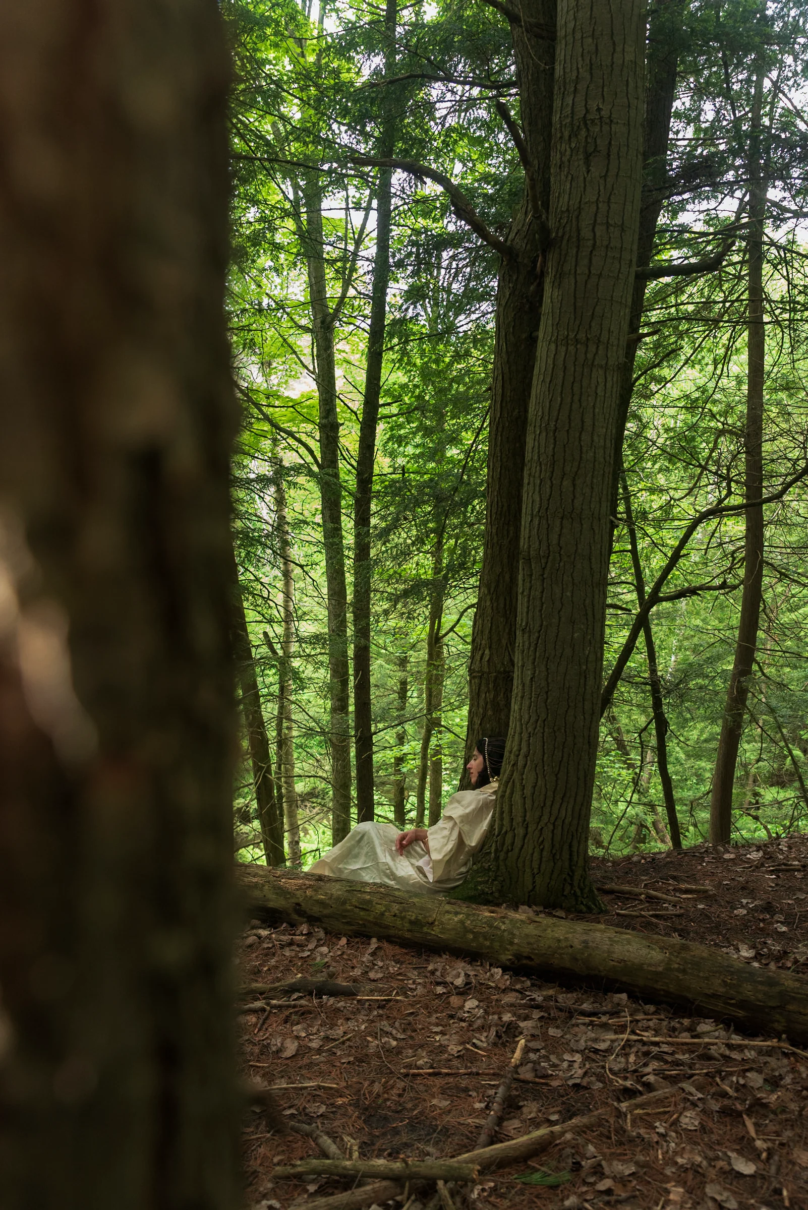 Solstice Retreat Series: Giornata nazionale dei popoli indigeni - L’estate inizia con Erin Moe — Wild Nature Ritiri