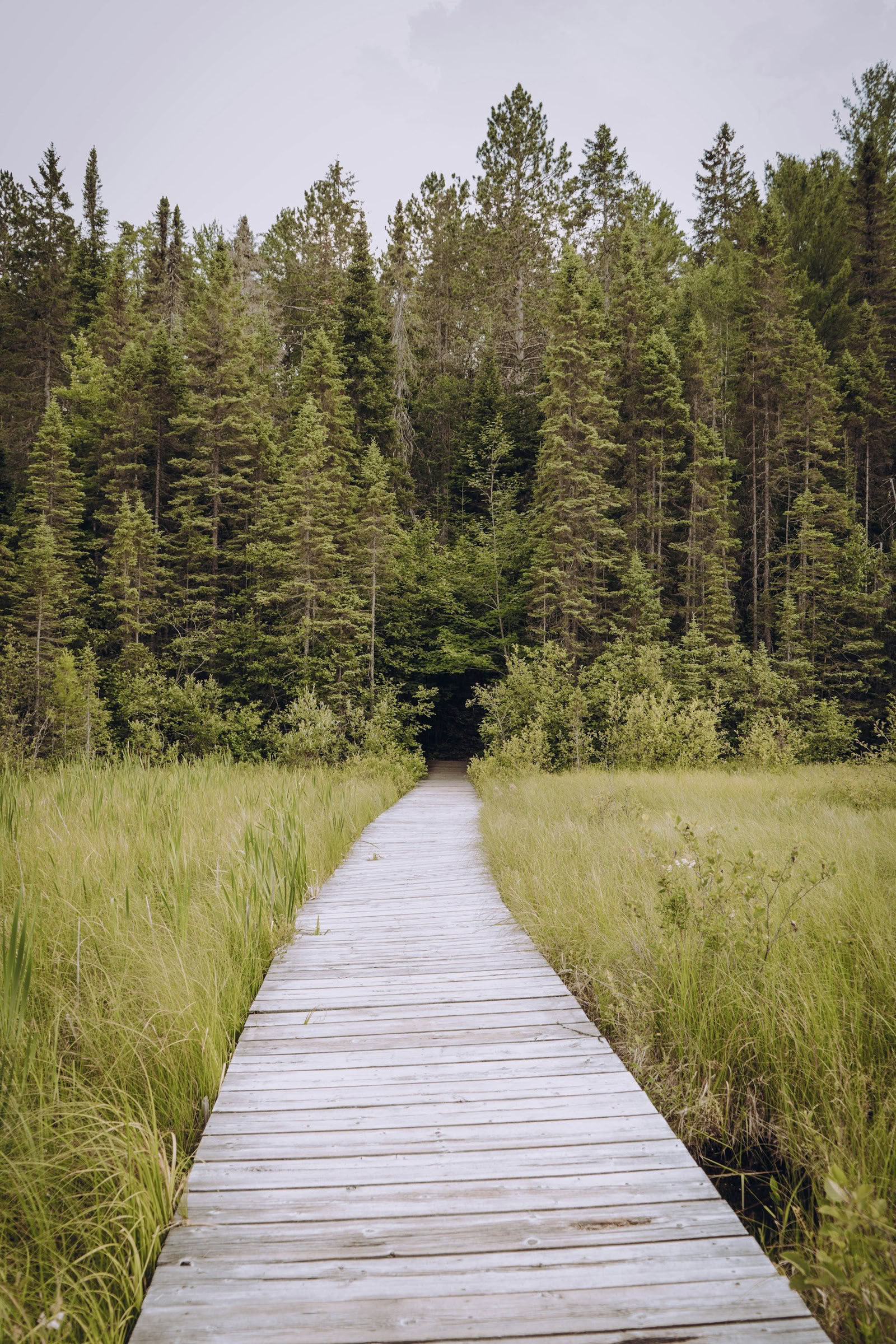 ForREST Retreat: Rallentamento Estivo