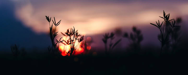 Creative Rest: Ritiro d'Autunno