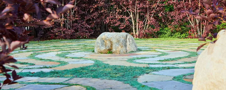 Red Thread: Istituto Internazionale di Qigong | True Nature - Carbondale, CO