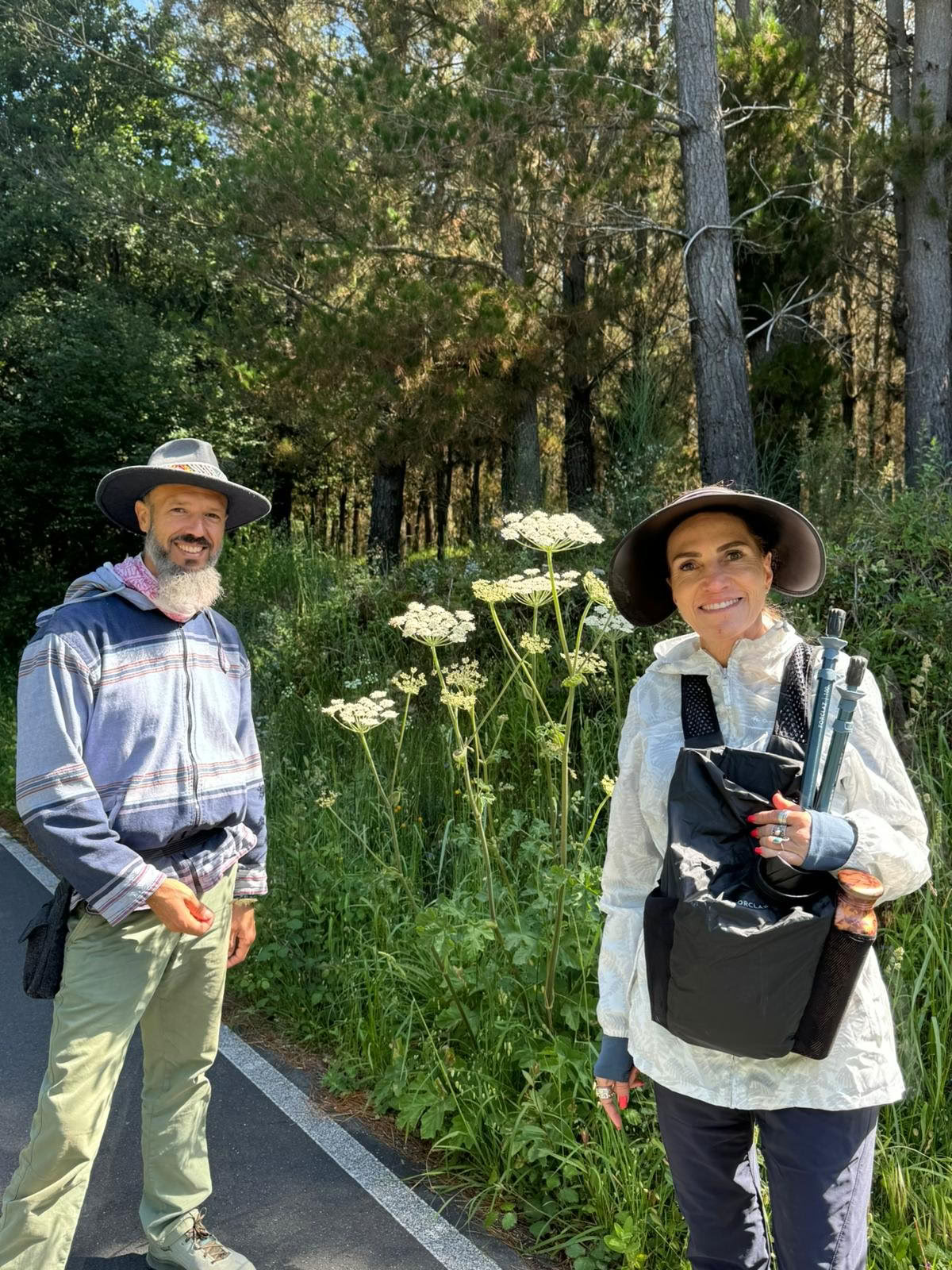 Camino Retreat 2026