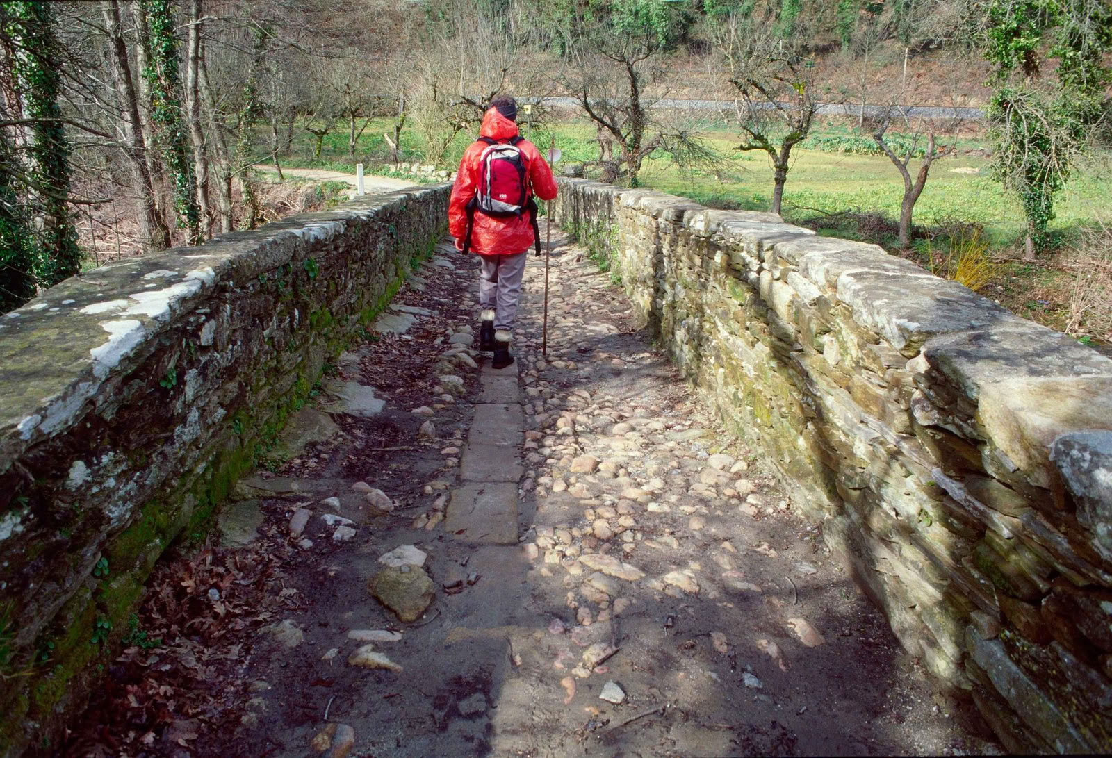 Camino Ritiro 2026 (6 Giorni)
