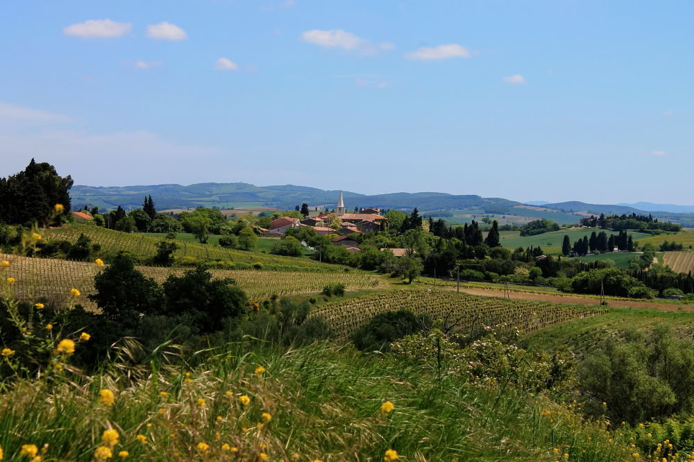 Healthy Heart Reset: Un percorso verso il benessere