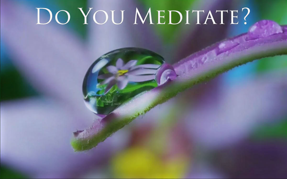 Meditate?