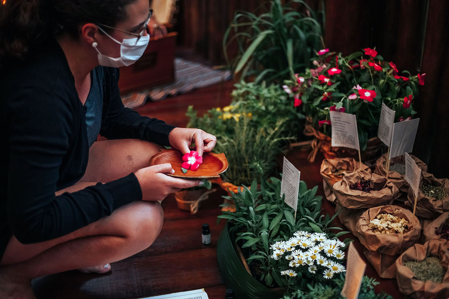 Vivencia terapeutica: Alma con Calma