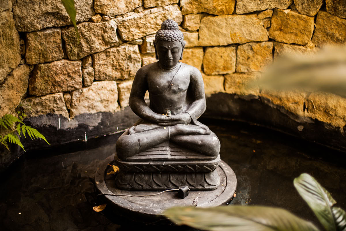 Vivencia terapeutica: Alma con Calma