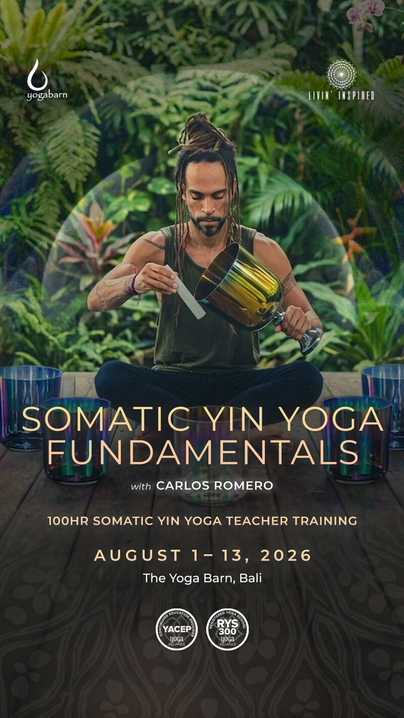Fondamenti di Somatic Yin Yoga 100 Hr YTT