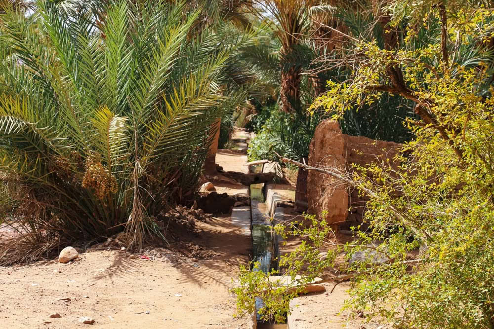 4 giorni di tour da Casablanca a Marrakesh via deserto