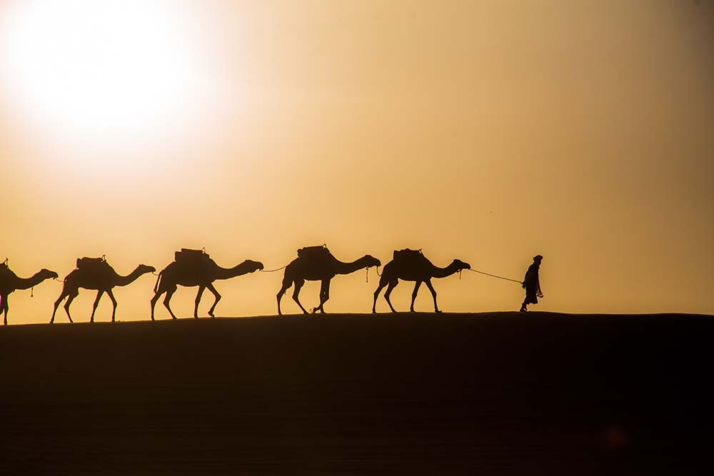 4 giorni di tour da Casablanca a Marrakesh via deserto