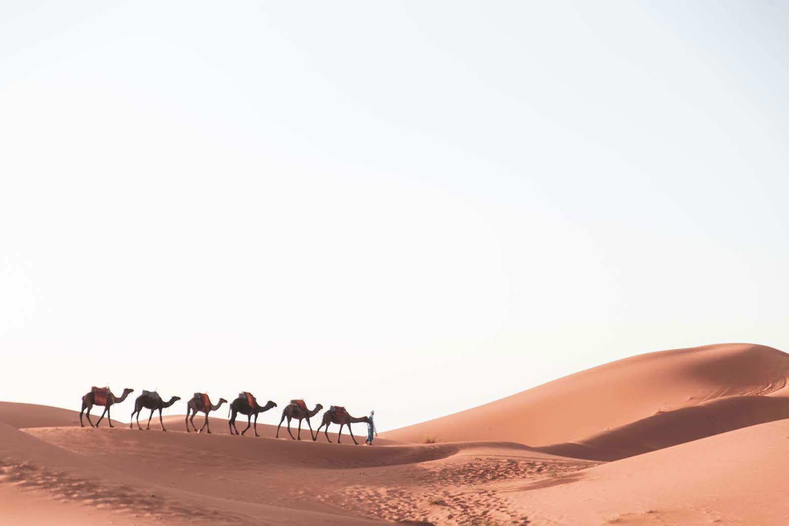 8 Giorni da Agadir al Deserto del Sahara e Marrakech