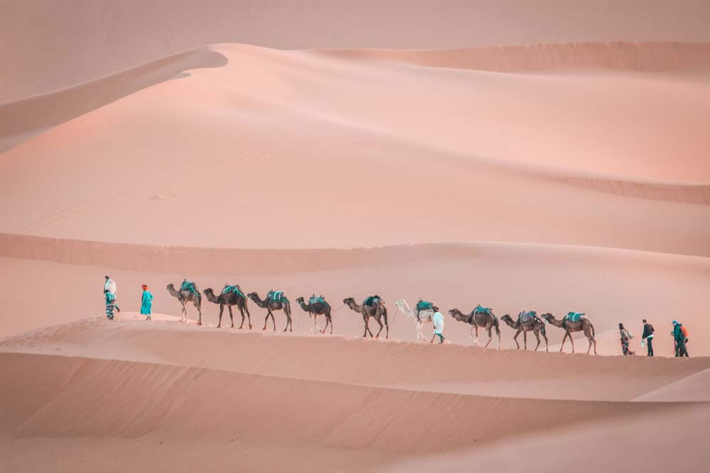 9 giorni di tour da Marrakesh al deserto e Casablanca