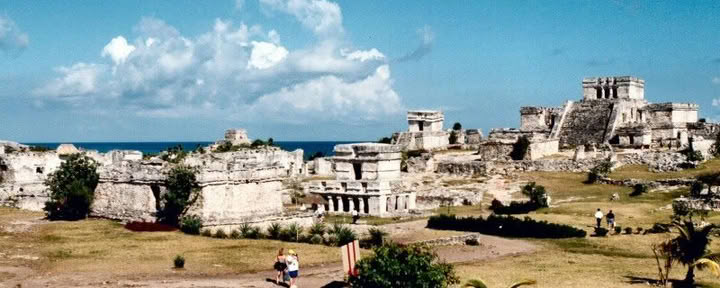 Coralli e scogliere a Isla Mujeres