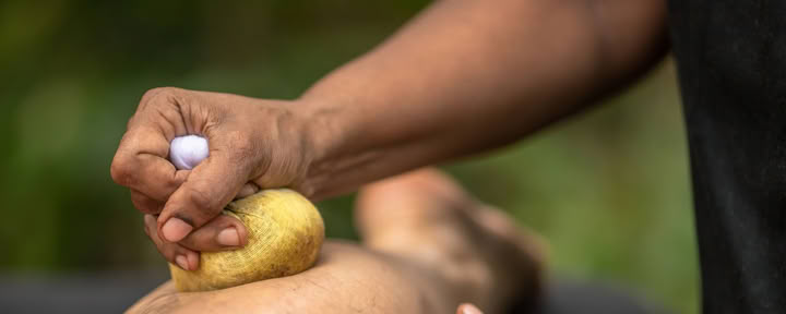 Corso di 10 giorni: Formati per diventare un terapista Ayurveda, Sri Lanka