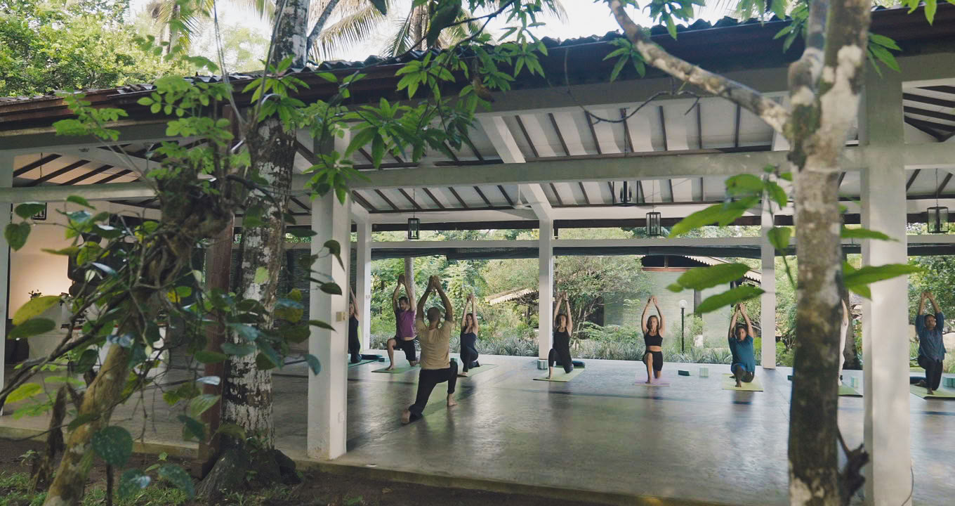 Formazione per insegnanti di yoga