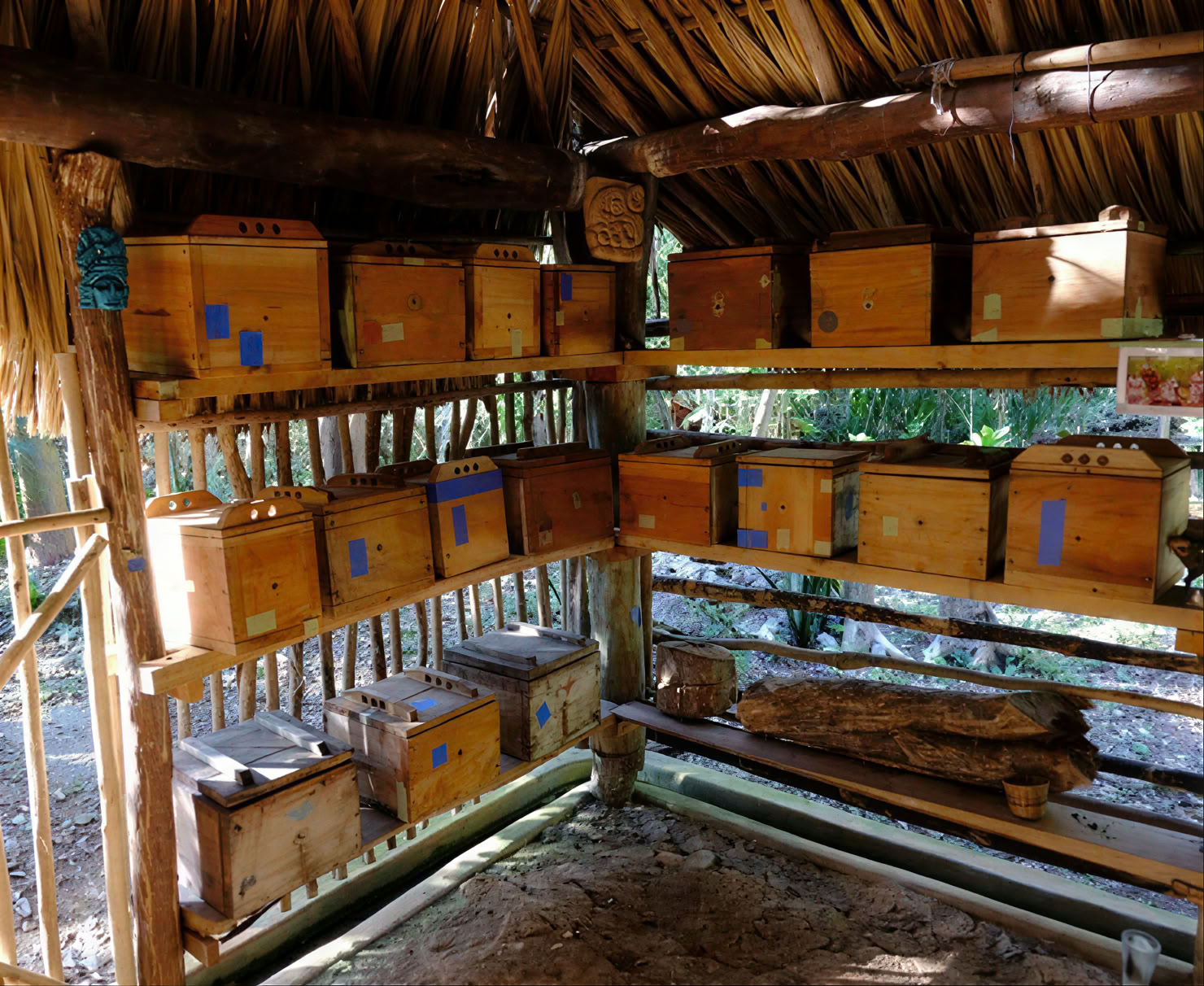 Coba e l'incontro con uno sciamano maya