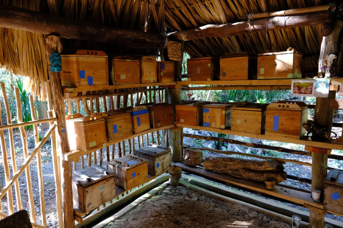 Coba e l'incontro con uno sciamano maya