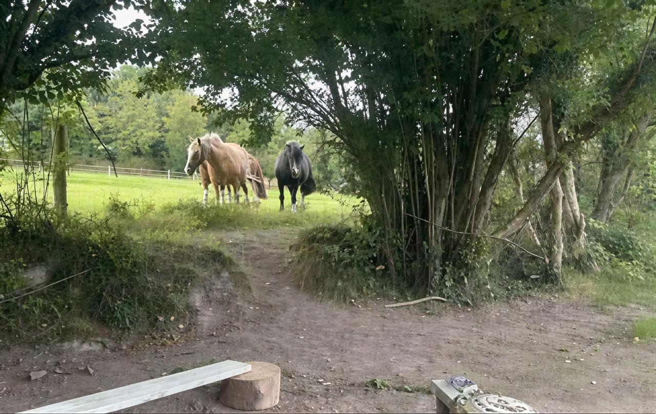 Connect with Heart Ritiro with the Horses